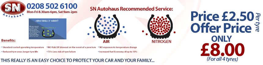 Recommended service (nitrogen)